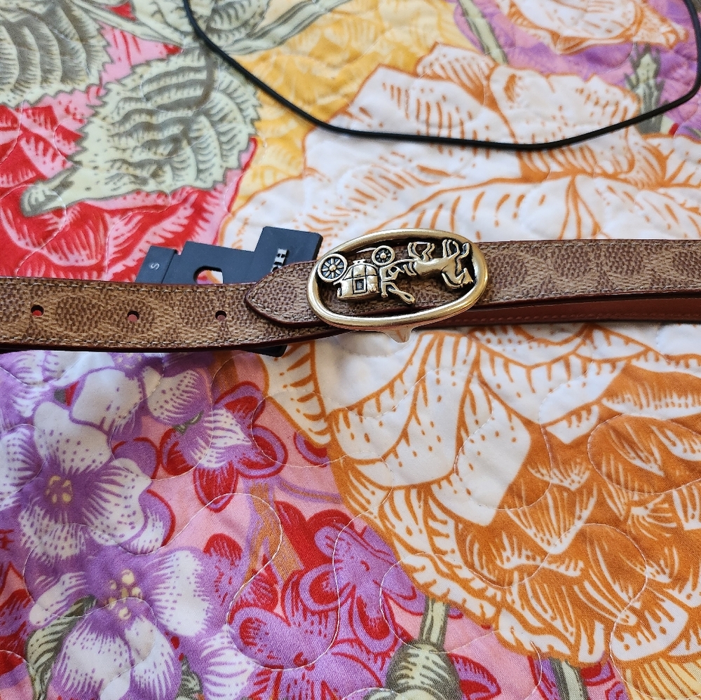 Women small coach signature belt - Picture 7 of 7